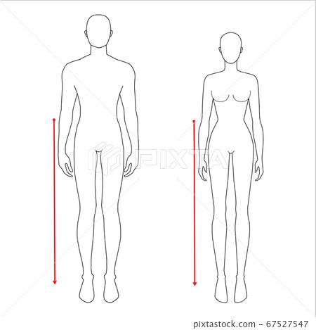 Women and men measurements fashion. Women and men measurements fashion. 67527547