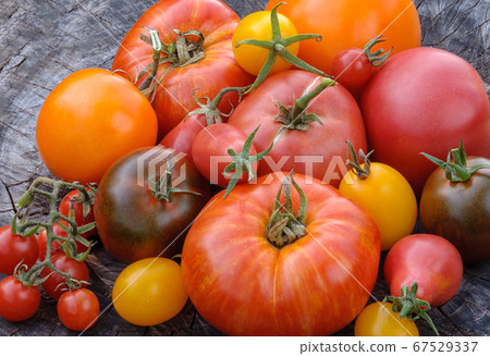 Organic tomato on an old stump.Tomatoes of 67529337