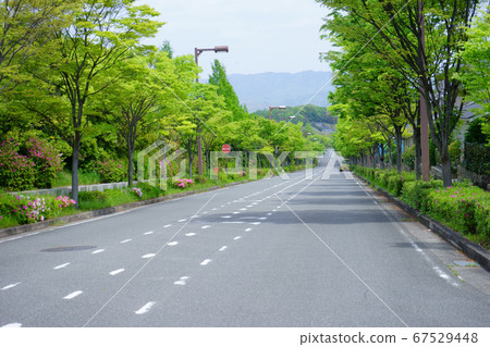 居住區2中的新鮮綠色路 居住區2中的新鮮綠色路 67529448