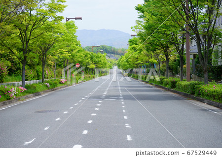 居住區3中的新鮮綠色路 居住區3中的新鮮綠色路 67529449