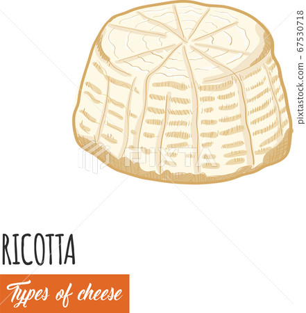 Hand drawn colorful Ricotta cheese 67530718