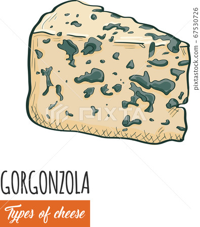 Hand drawn colorful Gorgonzola cheese Hand drawn colorful Gorgonzola cheese 67530726
