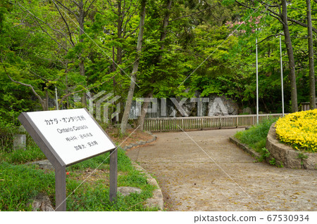 花博會紀念公園鶴見綠地加拿大安大略省花園遺址 花博會紀念公園鶴見綠地加拿大安大略省花園遺址 67530934