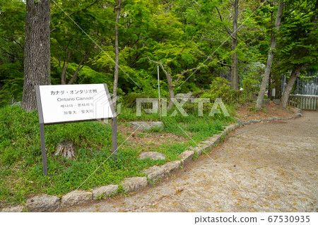 Flower Expo Memorial Park Tsurumi Ryokuchi Canadian Ontario Garden Ruins 67530935