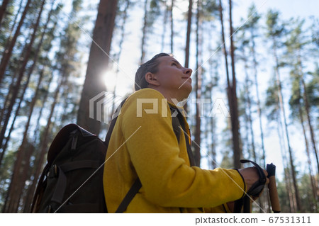 Walking in summer forest. Female tourist hiking alone. Walking in summer forest. Female tourist hiking alone. 67531311