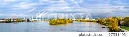 Panorama of the Rhine river between Mainz and Wiesbaden in Germany 67531493