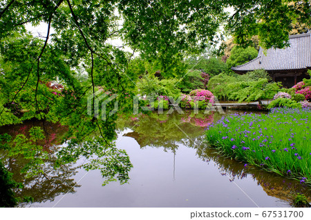 天閣寺（奈良縣天理市）牡蠣芽 67531700