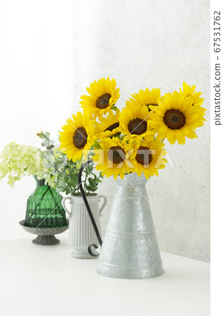 Sunflower mini sunflower Sunflower mini sunflower 67531762
