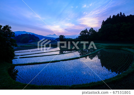 Dawn of rice terraces (Uda City, Nara Prefecture) 67531801
