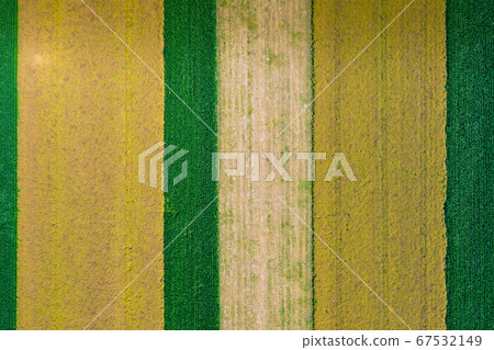 Aerial view of summer fields, harvest time, fields Aerial view of summer fields, harvest time, fields 67532149