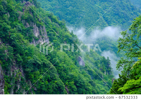Fresh green stone tower (Shimokitayama Village, Yoshino District, Nara Prefecture) 67532333