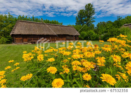 Traditional village in Poland. Open Air Museum. 67532358