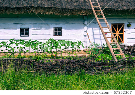 Traditional village in Poland. Open Air Museum. 67532367