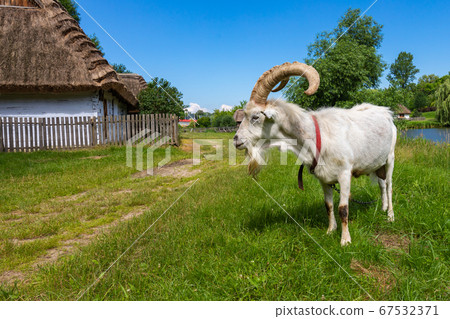 Traditional village in Poland. Open Air Museum. 67532371