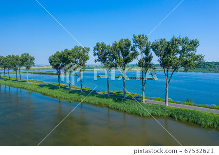Aerial view of trees in line by the road, lake around. Aerial view of trees in line by the road, lake around. 67532621