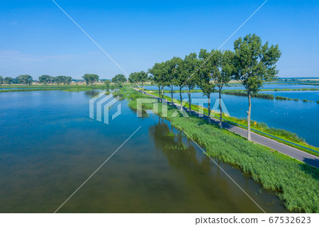Aerial view of trees in line by the road, lake around. Aerial view of trees in line by the road, lake around. 67532623