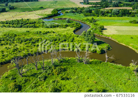 Aerial view of meander of the Wieprz river 67533116