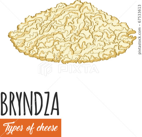 Hand drawn colorful Bryndza cheese Hand drawn colorful Bryndza cheese 67533613