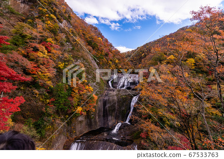 (Ibaraki Prefecture) Fukuda Falls Fall leaves (Ibaraki Prefecture) Fukuda Falls Fall leaves 67533763
