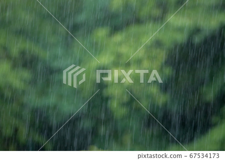雨季的大雨和森林景觀 雨季的大雨和森林景觀 67534173