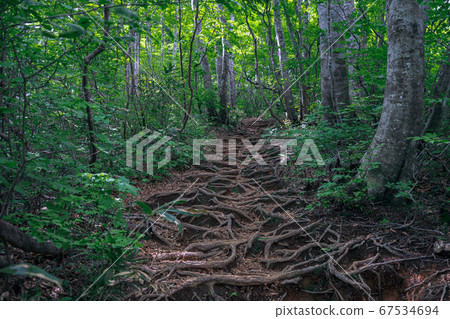 [Fukui Prefecture] 100 Arashima Mountains in Japan 67534694
