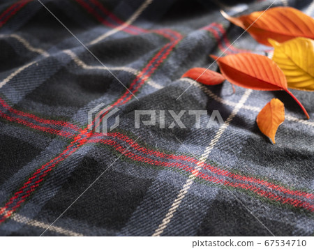 Tartan check blanket Sakura autumn leaves Tartan check blanket Sakura autumn leaves 67534710