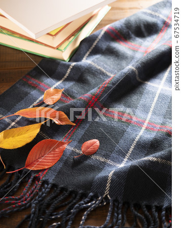 Tartan check blanket reading image Tartan check blanket reading image 67534719