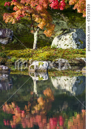 Autumn leaves are reflected on the surface of the water. 67535859