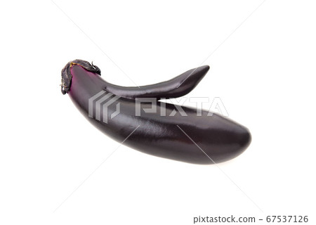 Malformed, deformed eggplant Malformed, deformed eggplant 67537126