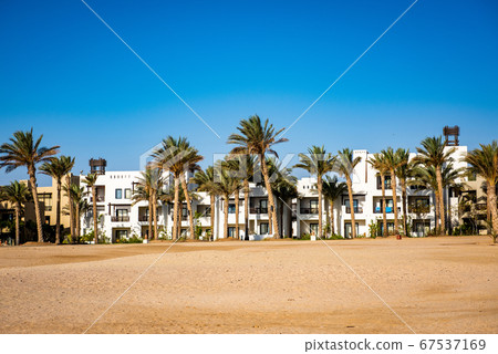 Luxury resort on the beach with palm trees ad stones. Oriental tropical hotel in Egypt Luxury resort on the beach with palm trees ad stones. Oriental tropical hotel in Egypt 67537169