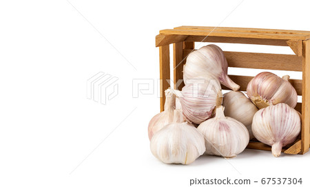 Garlic on white background 67537304