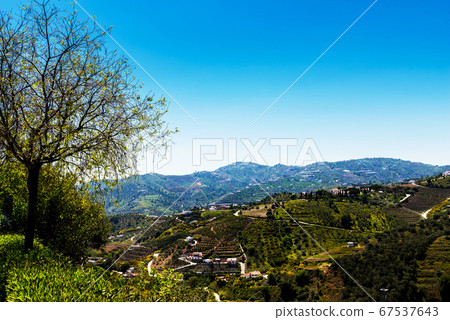 beautiful view of the mountains in the region of 67537643