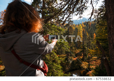 Beautiful autumn pine forest 67538632