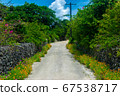 Dusty street at Taketomi Island, Okinawa, Japan 67538717