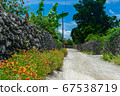 Dusty street at Taketomi Island, Okinawa, Japan 67538719