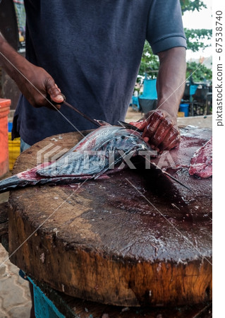 Man cutting fresh tuna with huge knife in Weligama In Sri Lanka. Man cutting fresh tuna with huge knife in Weligama In Sri Lanka. 67538740