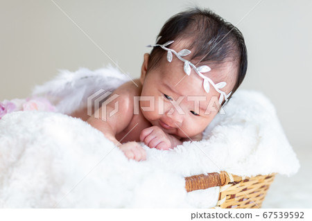 Newborn Photo 67539592