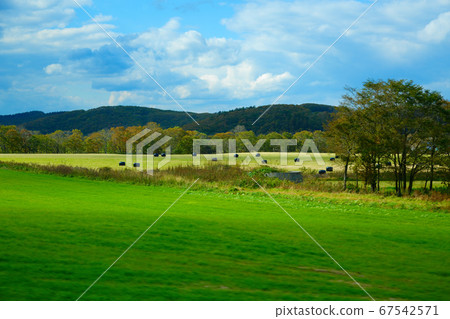 A roll veil with a view of pasture along the Akkeshi Shibecha Line from the train window 67542571