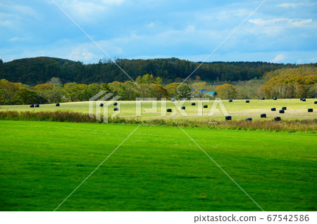 A roll veil with a view of pasture along the Akkeshi Shibecha Line from the train window 67542586