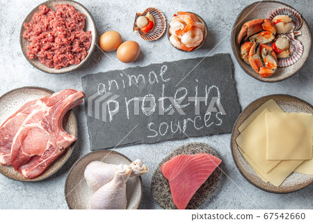 Animal protein sources background with copy space. Carnivore diet concept. Meat, cheese, fish, eggs and seafood Animal protein sources background with copy space. Carnivore diet concept. Meat, cheese, fish, eggs and seafood 67542660