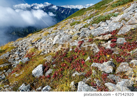 View of autumn leaves and Mt. 67542920