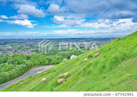 [Overlooking the Osaka Plain (Minamikochi) from the World Ranch] Shiraki, Henan-cho, Henan-cho, Minamikawachi-gun, Osaka Prefecture 67542991