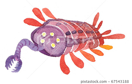 水彩畫:Opavinia 水彩畫:Opavinia 67543188