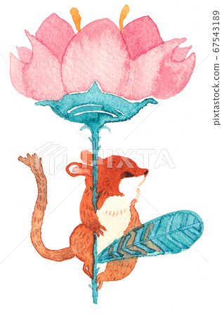 水彩：鼠標和花 67543189