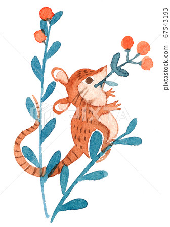 Watercolor: mouse and red fruit 67543193