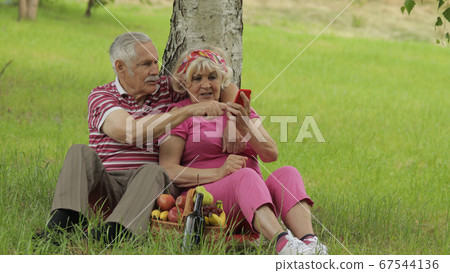 Family picnic. Senior old grandparents couple in park using smartphone online browsing, shopping Family picnic. Senior old grandparents couple in park using smartphone online browsing, shopping 67544136