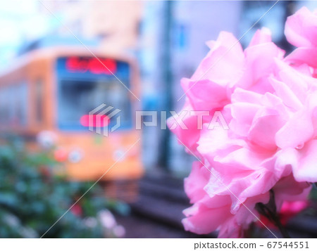 鮮花和火車 鮮花和火車 67544551