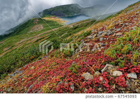 Misty Hakuba Oike seen from the ridge to Mt.Hakuba 67545093