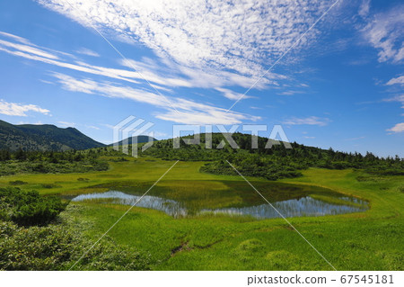夏天的八甲田山令人耳目一新的風景 67545181