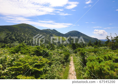 夏天的八甲田山令人耳目一新的風景 夏天的八甲田山令人耳目一新的風景 67545200